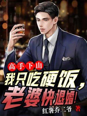 高手下山:我只吃硬饭,老婆快退婚!