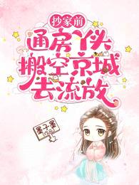 抄家前,通房丫头搬空京城去流放